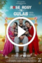 Rose Rosy Te Gulab (2024)