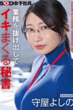 SDJS-312
