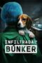 Undercover Inside the Bunker 2025 Subtitle Indonesia
