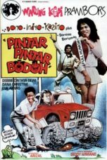 Pintar Pintar Bodoh 1980 Lk21 | Layarkaca21 | Rebahin