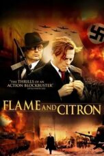 Flame & Citron 2008 Subtitle Indonesia