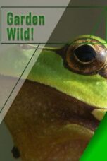 Garden Wild 2015 Subtitle Indonesia