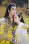 Peach Blossom Origin (2022)