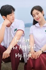 You Are the Apple of My Eye 2024 Subtitle Indonesia