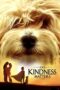 Kindness Matters 2018 Subtitle Indonesia