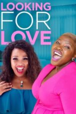 Looking for love 2018 Subtitle Indonesia