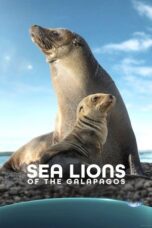 Sea Lions of the Galapagos 2025 Subtitle Indonesia