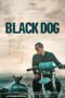 Black Dog 2024 Subtitle Indonesia
