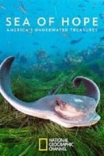 Sea of Hope America s Underwater Treasures 2017 Subtitle Indonesia