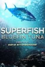 Superfish Bluefin Tuna 2012 Subtitle Indonesia