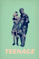 Teenage 2013 Subtitle Indonesia