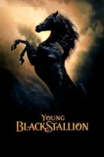 The Young Black Stallion 2003 Subtitle Indonesia