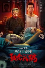 Deadly Doll : Reborn (2025)