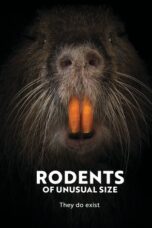Rodents of Unusual Size 2017 Subtitle Indonesia