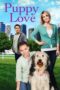 Puppy Love 2012 Subtitle Indonesia