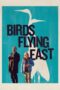 Birds Flying East (2024)