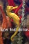 Super Small Animals 2017 Subtitle Indonesia