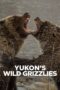 Yukon s Wild Grizzlies 2021 Subtitle Indonesia