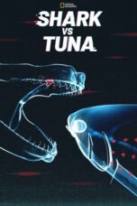 Shark vs Tuna 2018 Subtitle Indonesia