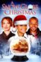 A Snow Globe Christmas 2013 Subtitle Indonesia
