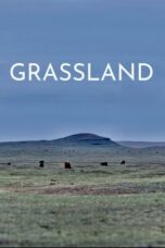 Grassland 2023 Subtitle Indonesia