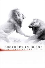 Brothers in Blood The Lions of Sabi Sand 2015 Subtitle Indonesia