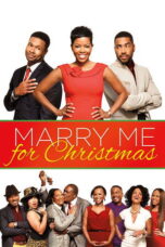 Marry Me for Christmas 2013 Subtitle Indonesia