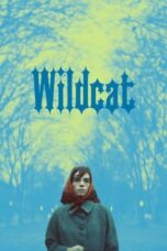 Wildcat 2023 Subtitle Indonesia