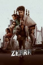 Zebra 2024 Subtitle Indonesia