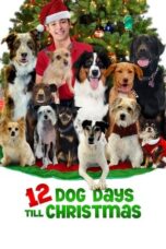 12 Dog Days Till Christmas 2014 Subtitle Indonesia