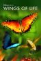 Disneynature Wings of Life 2011 Subtitle Indonesia