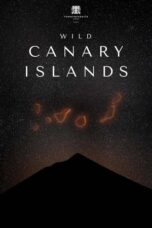 Wild Canary Islands 2021 Subtitle Indonesia
