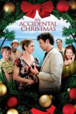 An Accidental Christmas 2007 Subtitle Indonesia