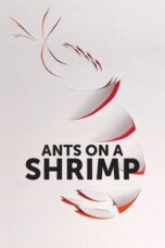 Ants on a Shrimp 2016 Subtitle Indonesia