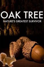 Oak Tree Nature s Greatest Survivor 2015 Subtitle Indonesia