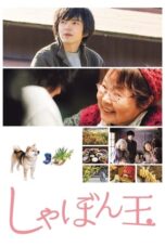 Where I Belong (2017)