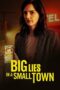 Big Lies in a Small Town 2022 Subtitle Indonesia