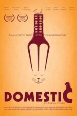 Domestic 2012 Subtitle Indonesia