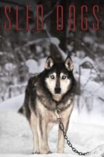 Sled Dogs 2016 Subtitle Indonesia