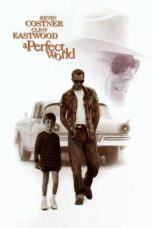 A Perfect World (1993)