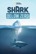 Shark Below Zero 2023 Subtitle Indonesia