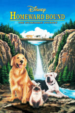 Homeward Bound: The Incredible Journey (1993) Homeward Bound: The Incredible Journey (1993)