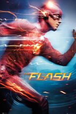 The Flash Season 1 (2014) The Flash Season 1 (2014)