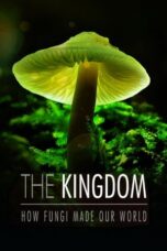 The Kingdom How Fungi Made Our World 2018 Subtitle Indonesia