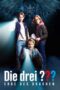 Die drei ??? – Erbe des Drachen 2023 Subtitle Indonesia