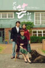 Only Cloud Knows 2019 Subtitle Indonesia