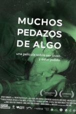 Muchos pedazos de algo 2015 Subtitle Indonesia