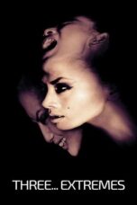 Three… Extremes 2004 Subtitle Indonesia