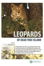 Leopards of Dead Tree Island 2010 Subtitle Indonesia