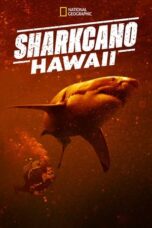 Sharkcano Hawaii 2023 Subtitle Indonesia